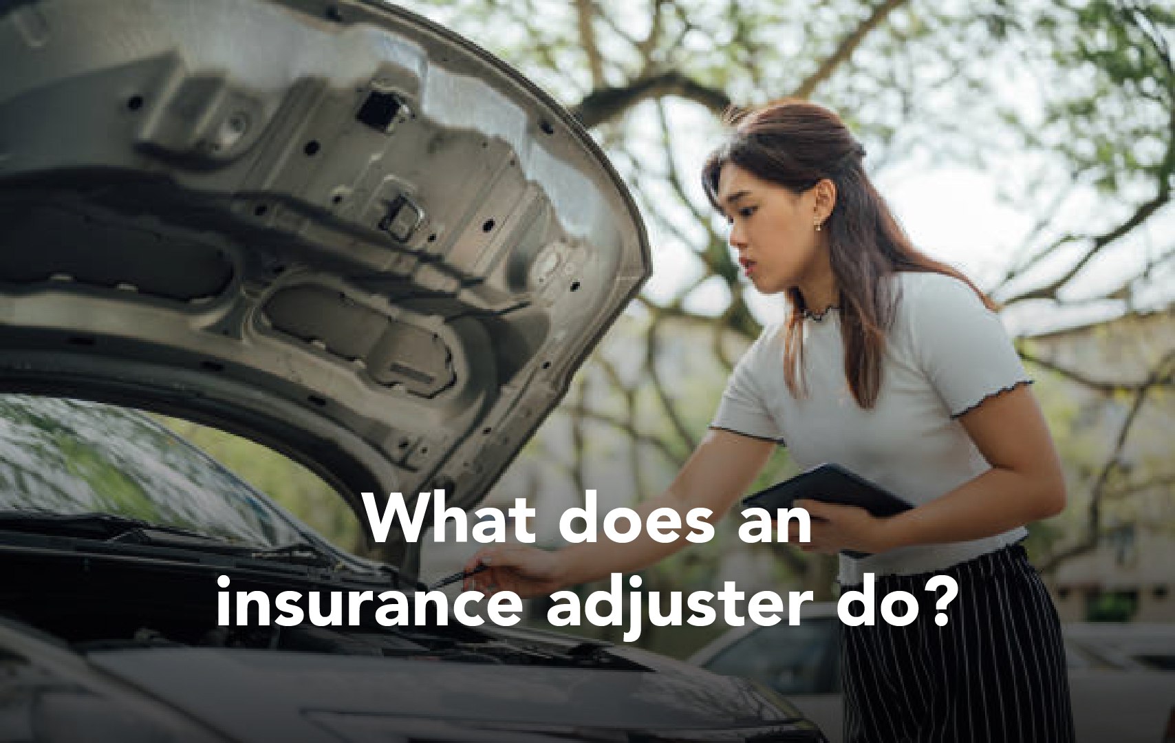 Insurance Adjusters Roles In Insurance Claim Bjak 3769
