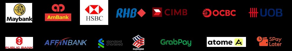 BNPL Providers